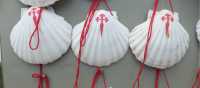 The scallop shell can be found all along the Camino | Gesine Cheung