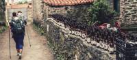 Pilgrims hiking through small village on the Camino | @timcharody