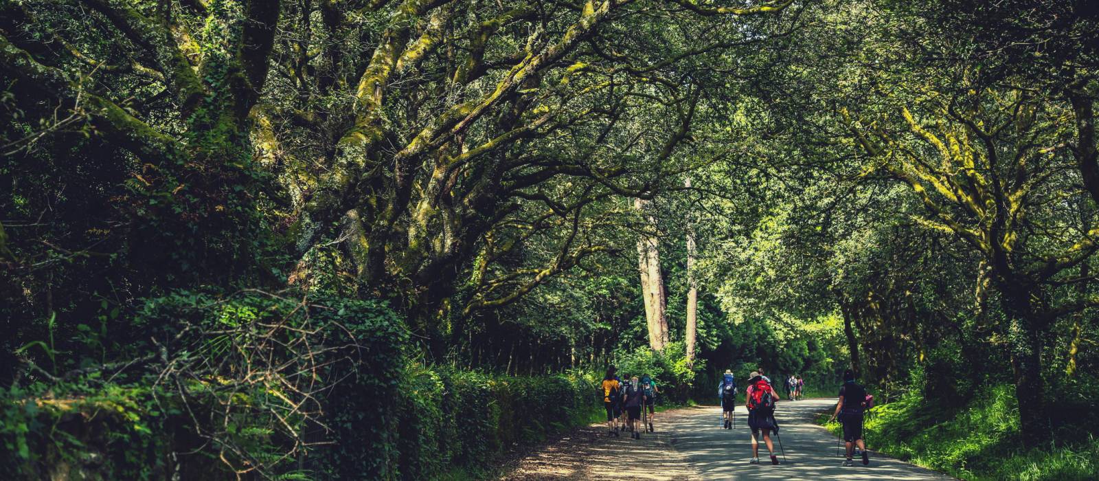Walking along the Camino de Santiago trail in Galicia | @timcharody
