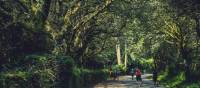 Walking along the Camino de Santiago trail in Galicia | @timcharody