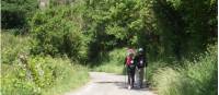 Pilgrims on the Camino |  <i>Dana Garofani</i>