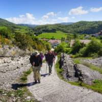 Pilgrims crossing the Pyrenees near Roncesvalles | Gesine Cheung