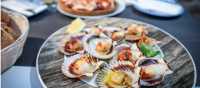 Fresh local scallops along the Camino Portuguese. | Tim Charody
