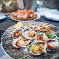 Fresh local scallops along the Camino Portuguese. | Tim Charody