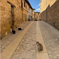 Street scene in Valderrobres | Kate Baker