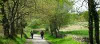 Pilgrims on the trail to Santiago in the Galicia region | Erin Williams