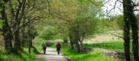 Pilgrims on the trail to Santiago in the Galicia region | Erin Williams