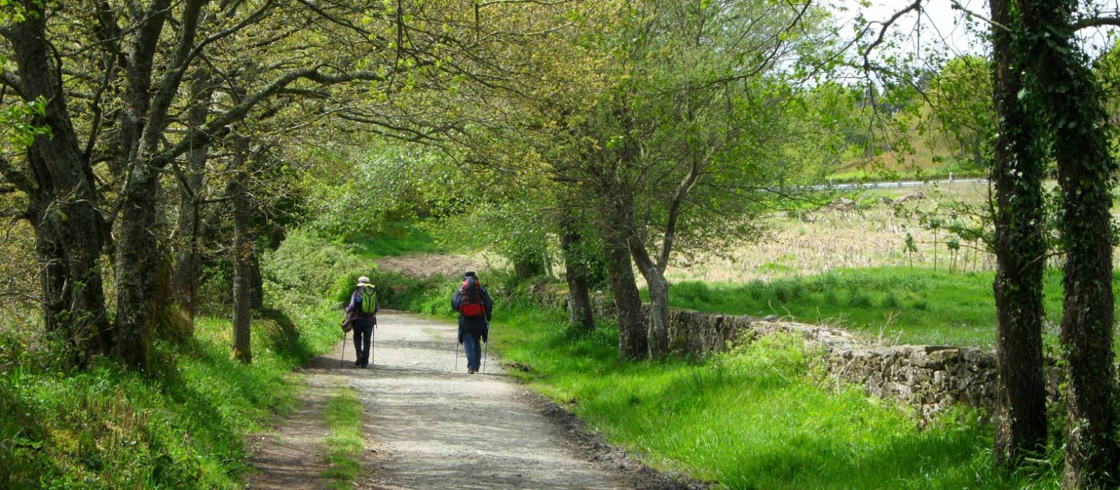 Pilgrims on the trail to Santiago in the Galicia region | Erin Williams