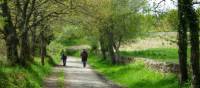 Pilgrims on the trail to Santiago in the Galicia region | Erin Williams