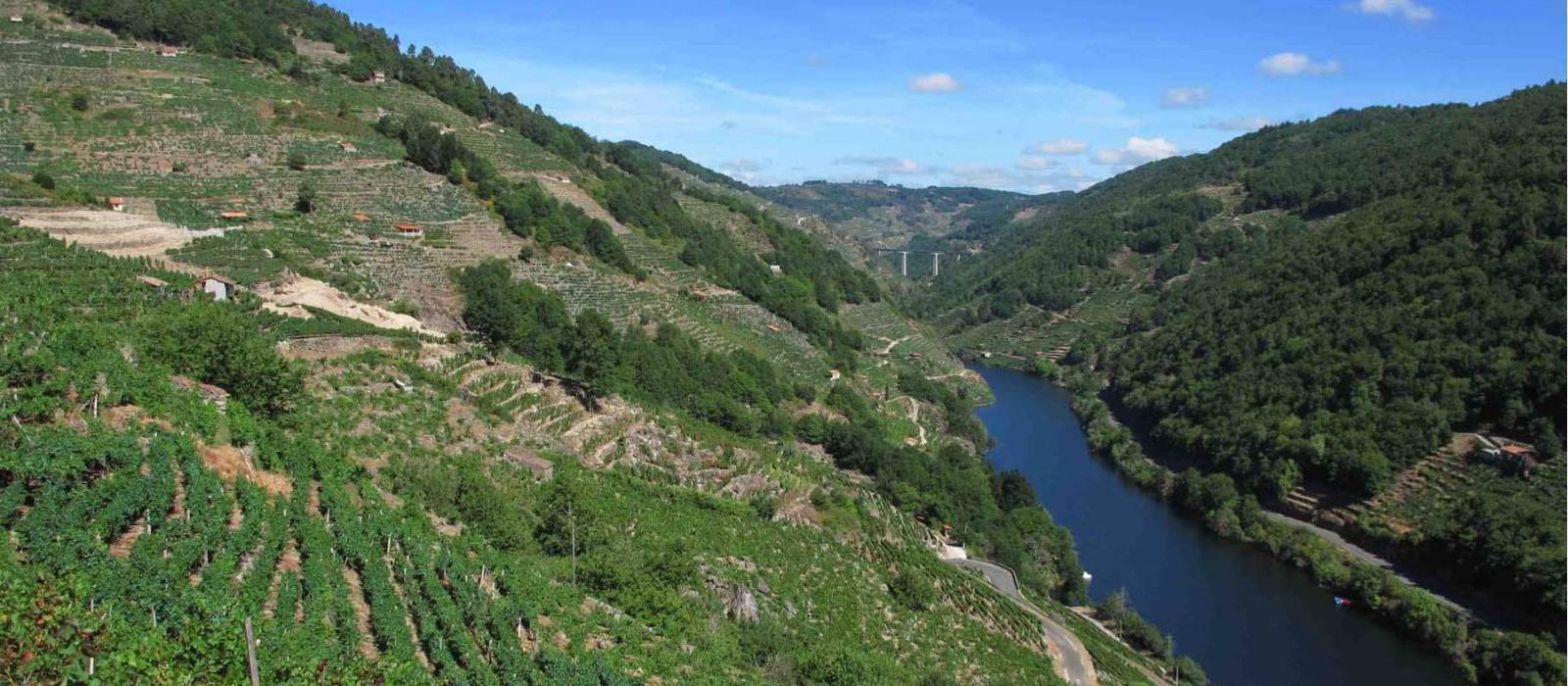 Ribeira Sacra Vineyards above the Sil River | Andreas Holland