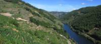 Ribeira Sacra Vineyards above the Sil River | Andreas Holland