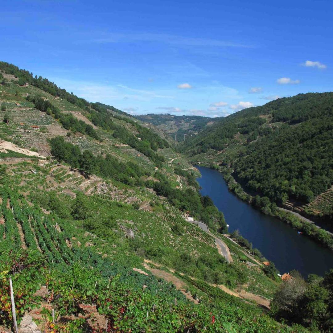 Ribeira Sacra Vineyards above the Sil River | Andreas Holland