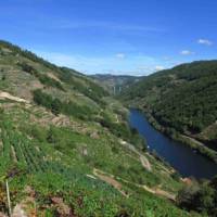 Ribeira Sacra Vineyards above the Sil River | Andreas Holland