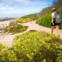 Beautiful coastal walking on the Camino Portuguese. | Tim Charody