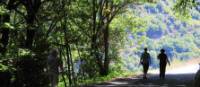 Walking in the Ribeira Sacra wine growing region of Galicia | Andreas Holland