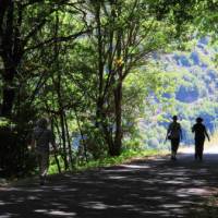 Walking in the Ribeira Sacra wine growing region of Galicia | Andreas Holland