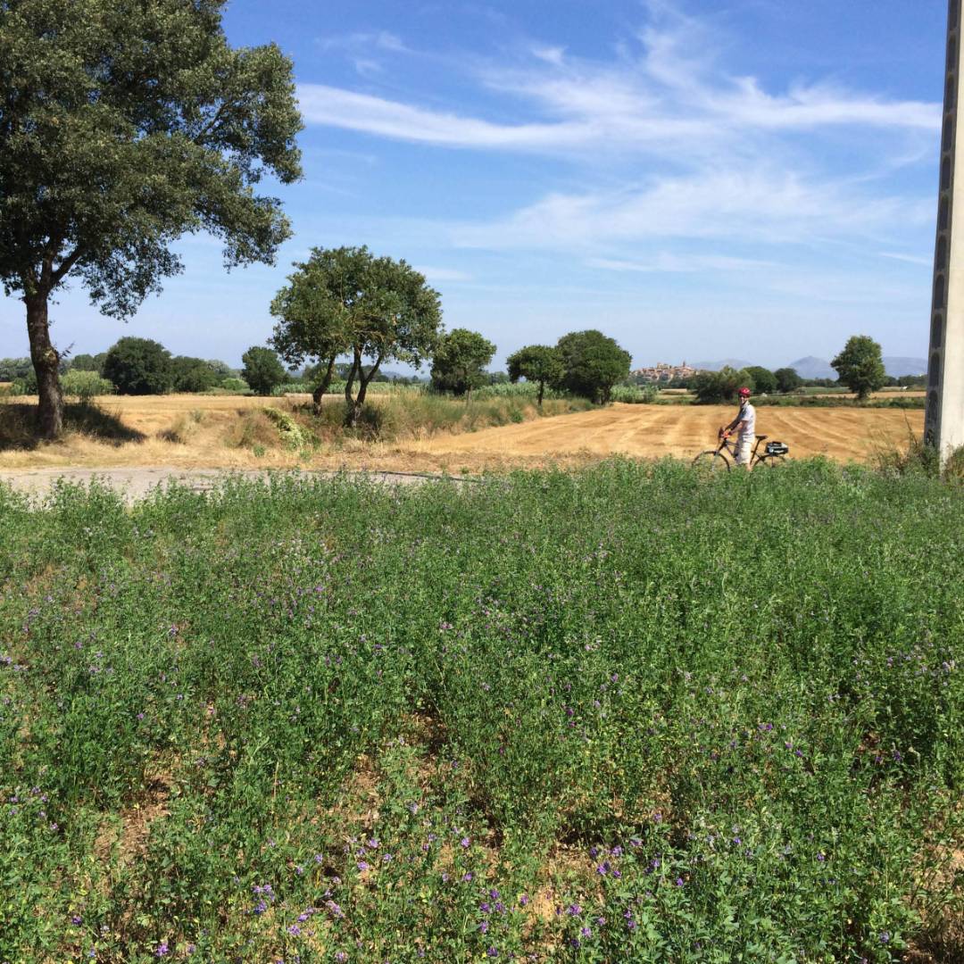 cyclist in rural Catalonia en route to the Costa Brava on a self guided cycling trip | Kate Baker