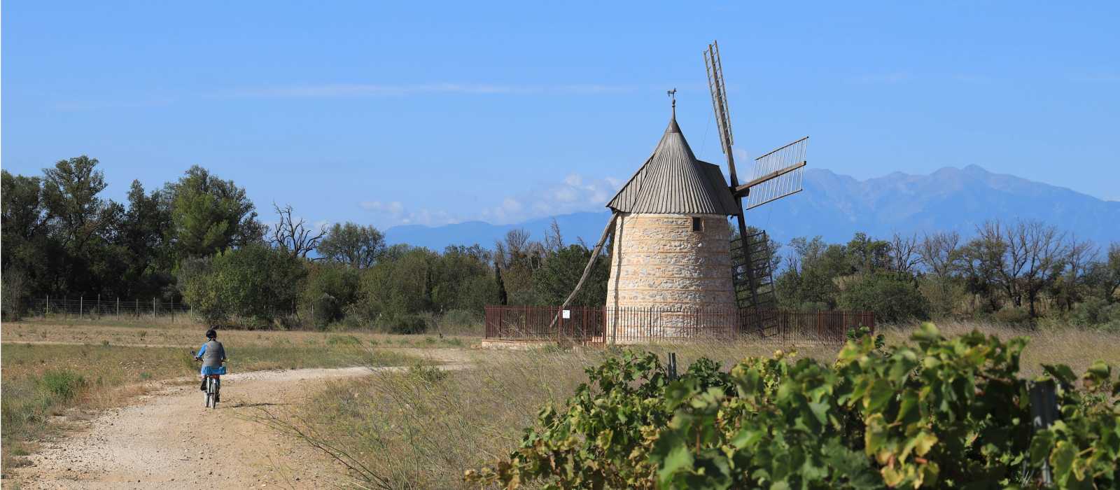 Cycle by windmills in Catalonia