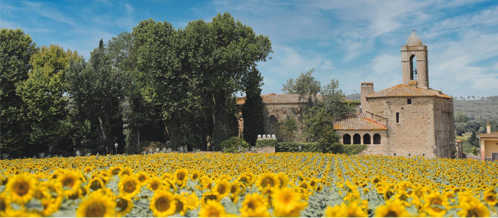 Sunflowers and castles in Pubol, Catalonia