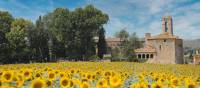 Sunflowers and castles in Pubol, Catalonia