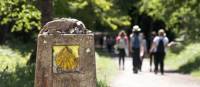 Walking the Camino de Santiago