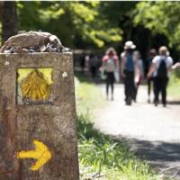 Walking the Camino de Santiago