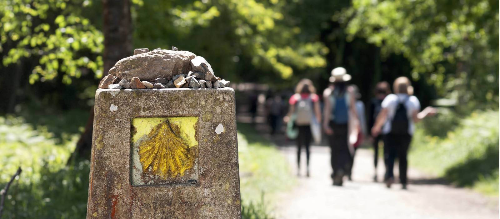 Walking the Camino de Santiago