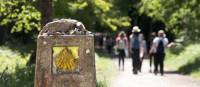 Walking the Camino de Santiago