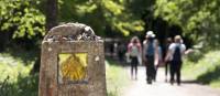 Walking the Camino de Santiago