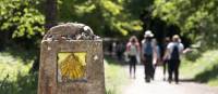 Walking the Camino de Santiago