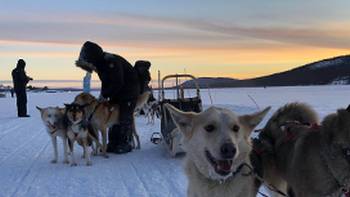 Dogsledding is one of the highlights of an Arctic adventure | Kate Baker