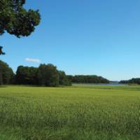 Verdant landscape across Häringe-Hammersta nature reserve | Kathy Kostos