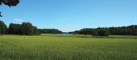 Verdant landscape across Häringe-Hammersta nature reserve | Kathy Kostos