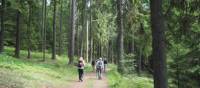 Hiking through Häringe-Hammersta nature reserve | Kathy Kostos