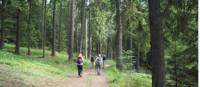 Hiking through Häringe-Hammersta nature reserve |  <i>Kathy Kostos</i>