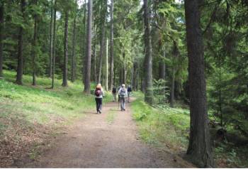 Hiking through Häringe-Hammersta nature reserve&#160;-&#160;<i>Photo:&#160;Kathy Kostos</i>