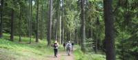 Hiking through Häringe-Hammersta nature reserve | Kathy Kostos