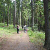 Hiking through Häringe-Hammersta nature reserve | Kathy Kostos
