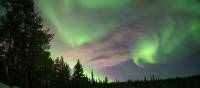 Swirling northern lights in Swedish Lapland | Ross Baker