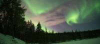 Swirling northern lights in Swedish Lapland | Ross Baker