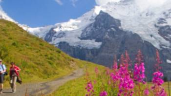 Hiking along the Alpine Pass Route | Andrew Bain