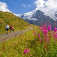Hiking along the Alpine Pass Route | Andrew Bain