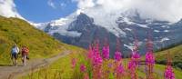 Hiking along the Alpine Pass Route | Andrew Bain