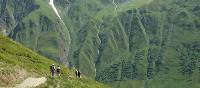 Green valley near Ferret, Switzerland | Roz Davis