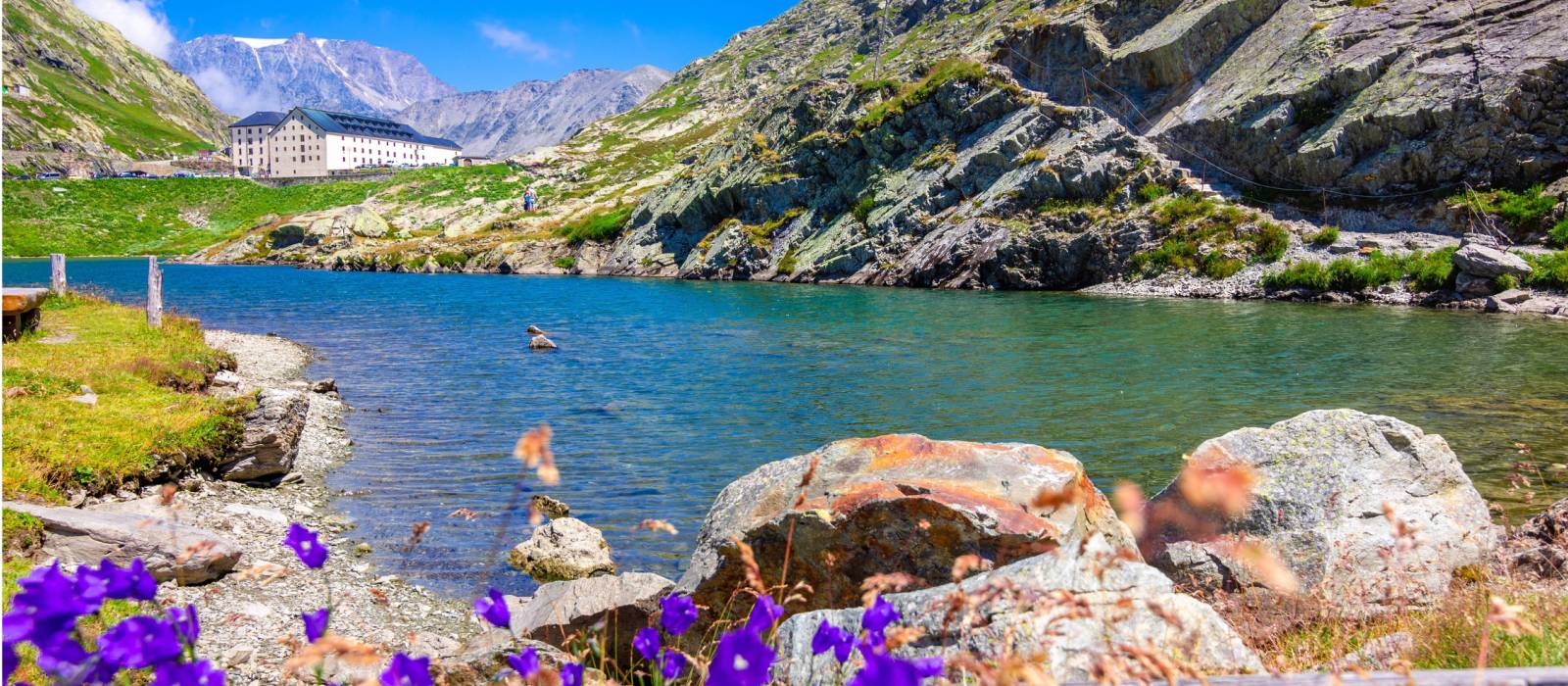 The incredible Great Saint Bernard pass