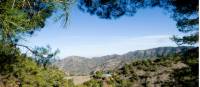 Enjoy walks in the Troodos Mountains in summer or winter
