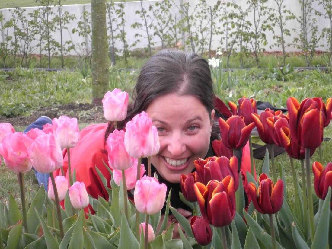 Smelling tulips in Holland |  <i>Tali Emdin</i>