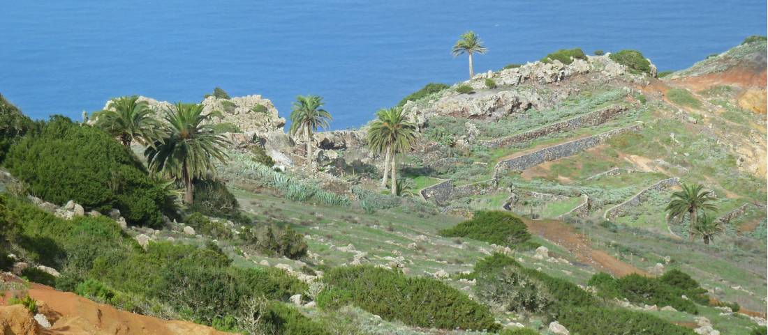 Landscape near Vallehermoso