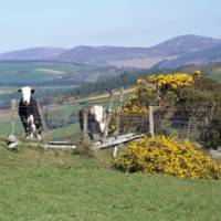 Wicklow Way | Footfalls Walking Holidays