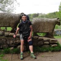 A rest by a sheep sculpture near the River Tees | John Millen